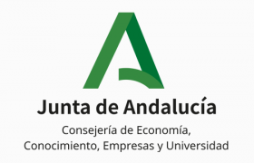 logo junta CECEU