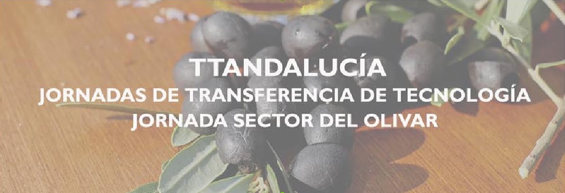 ImagenJornadaTTAndalucia
