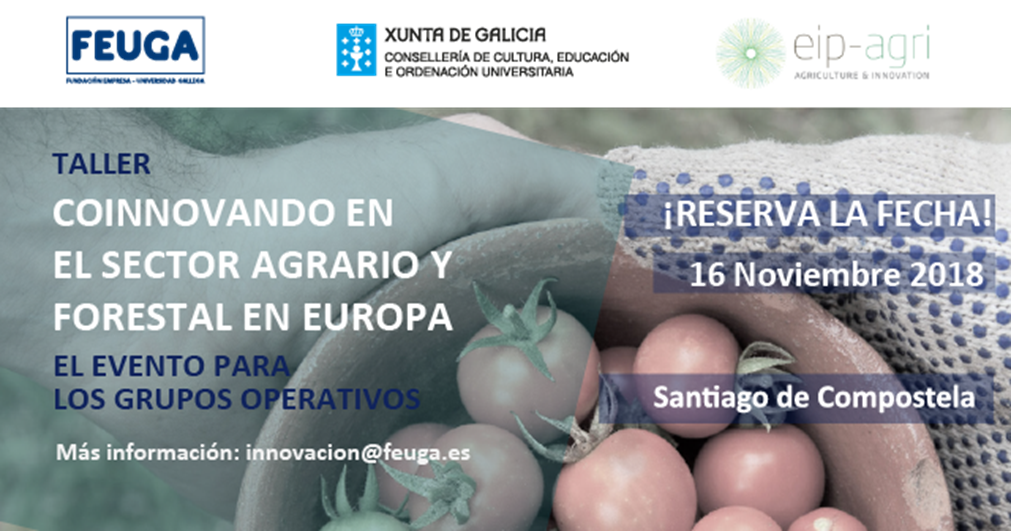 taller coinnovando