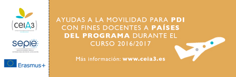 PDI ceiA3 docencia 16/17