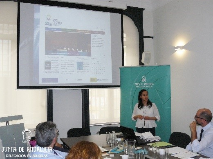 Investigadores del ceiA3 participan en un networking en Bruselas sobre el sector del olivar