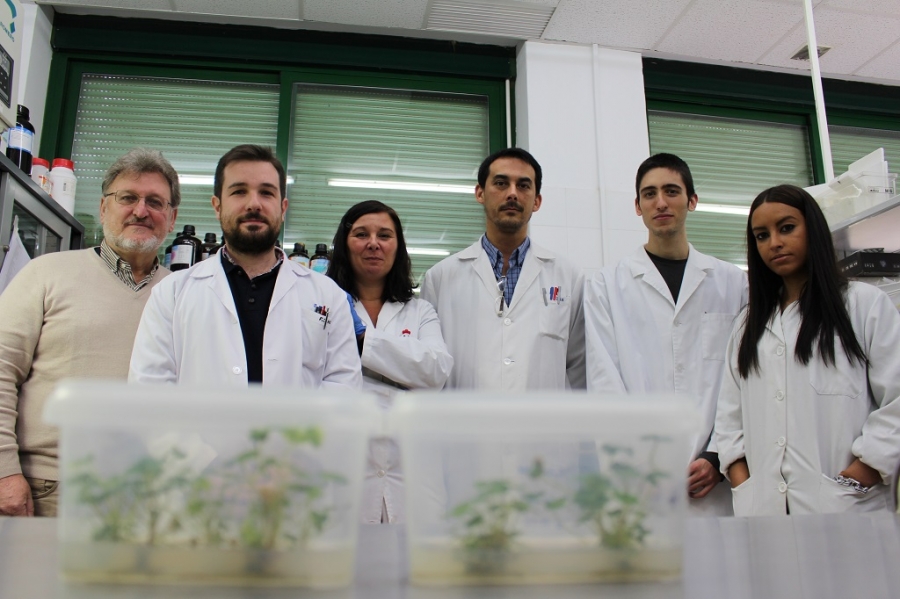El equipo que dirige Juan Muñoz, a la izquierda, posa frente a unas muestras de fresas con las que realizan la experimentación