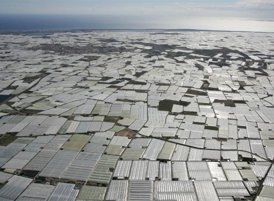 Demuestran la eficacia de los invernaderos para contrarrestar el calentamiento global