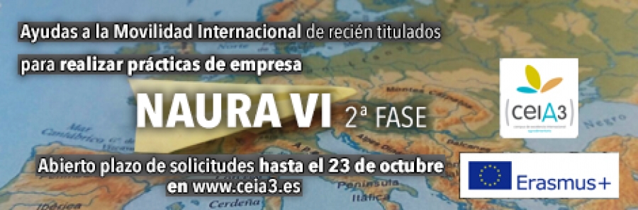 Abierta convocatoria Erasmus + del ceiA3 para movilidades de recién titulados para prácticas en empresas europeas