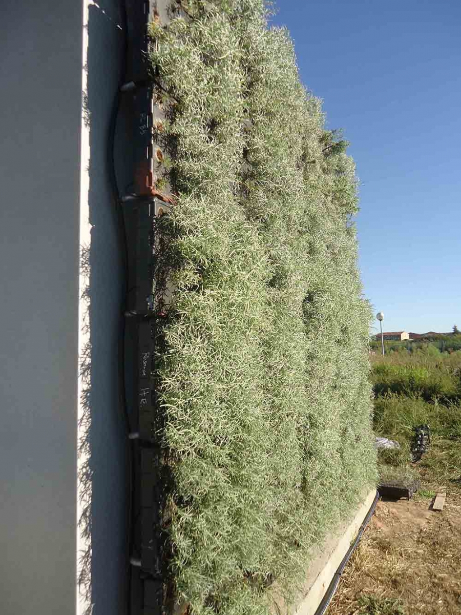 Demuestran que los muros vegetales reducen el ruido en carreteras hasta un 50%