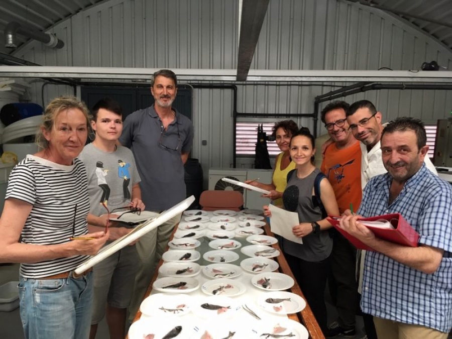 Mª José Sánchez-Muros Lozano (primera por la izquierda) y Fernando Barroso (tercero) en el acuario experimental de la Universidad de Almería, durante un muestreo del experimento