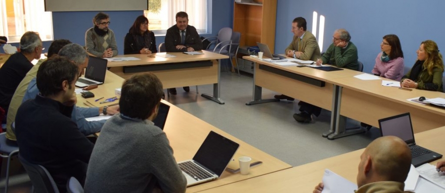 La Universidad de Huelva impulsa la modernización del cultivo del olivo