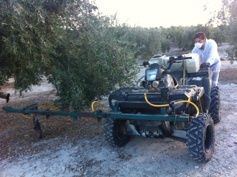 Sistema de control biológico de la mosca del olivo empleado en aperos agrícolas convencionales sobre un 'quad'