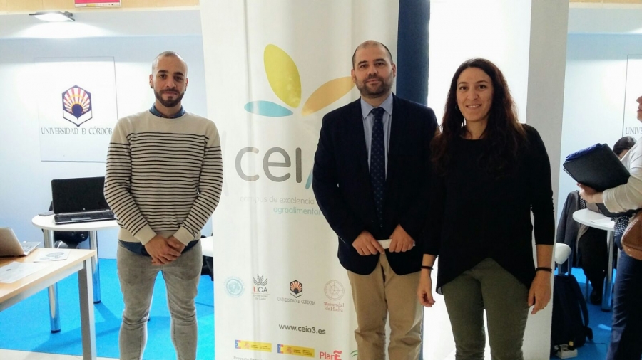 El ceiA3 presenta sus iniciativas de empleabilidad y emprendimiento en el Maratón #BÚSCATELAVIDA
