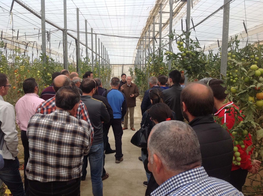 Agricultores se forman en la prevención de la salud y la transmisión de virus hortícolas