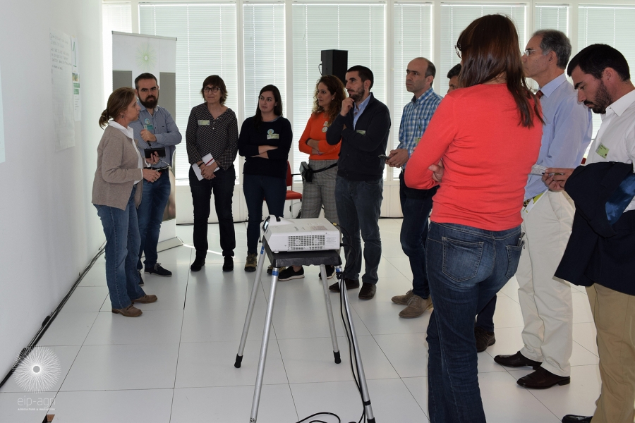 El proyecto del ceiA3 CUVrEN_Olivar participa en Holanda en el Taller EIP-AGRI “Cultivo para el futuro: redes para la rotación de cultivos y la diversificación de cultivos”