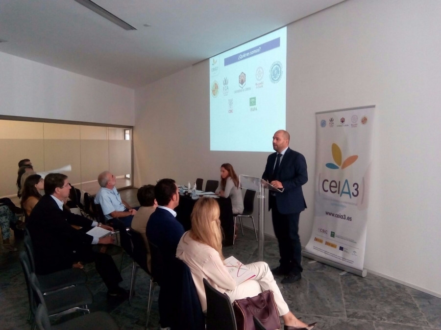 Taller de Innovación organizado por el ceiA3 en Andalucía Sabor 2015