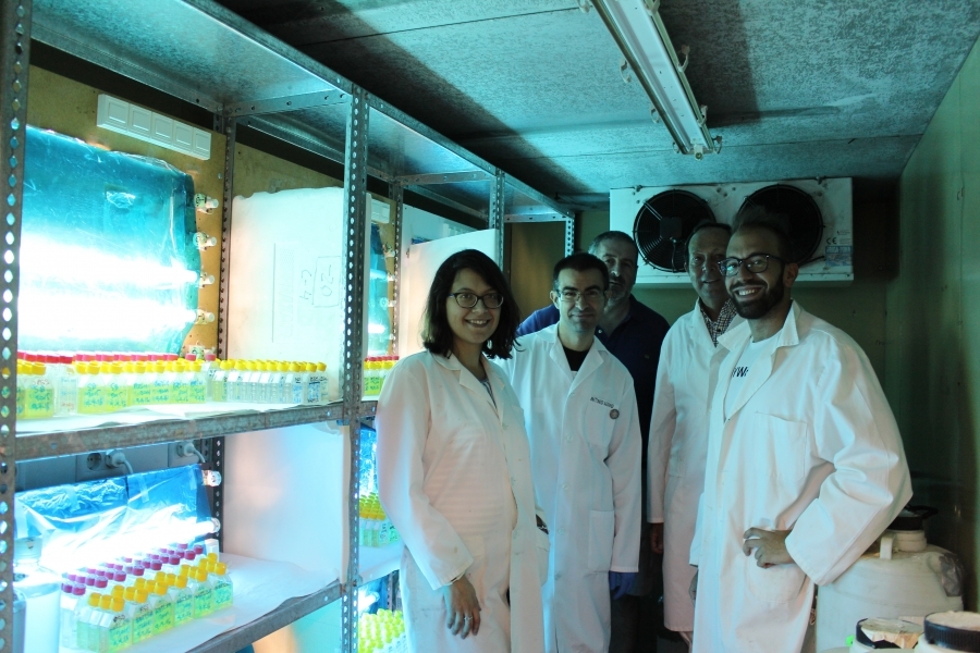  Grupo de investigación adscrito al ceiA3 que trabaja en torno a la biología de bacterías marinas en una cámara con muestras