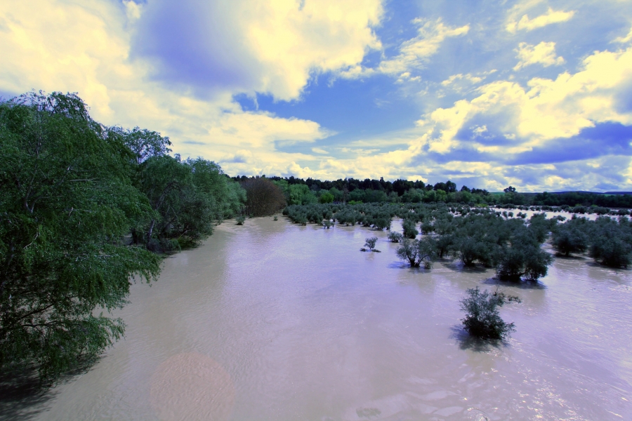 Desbordamiento del Guadalquivir en Villanueva de la Reina (Jaén)