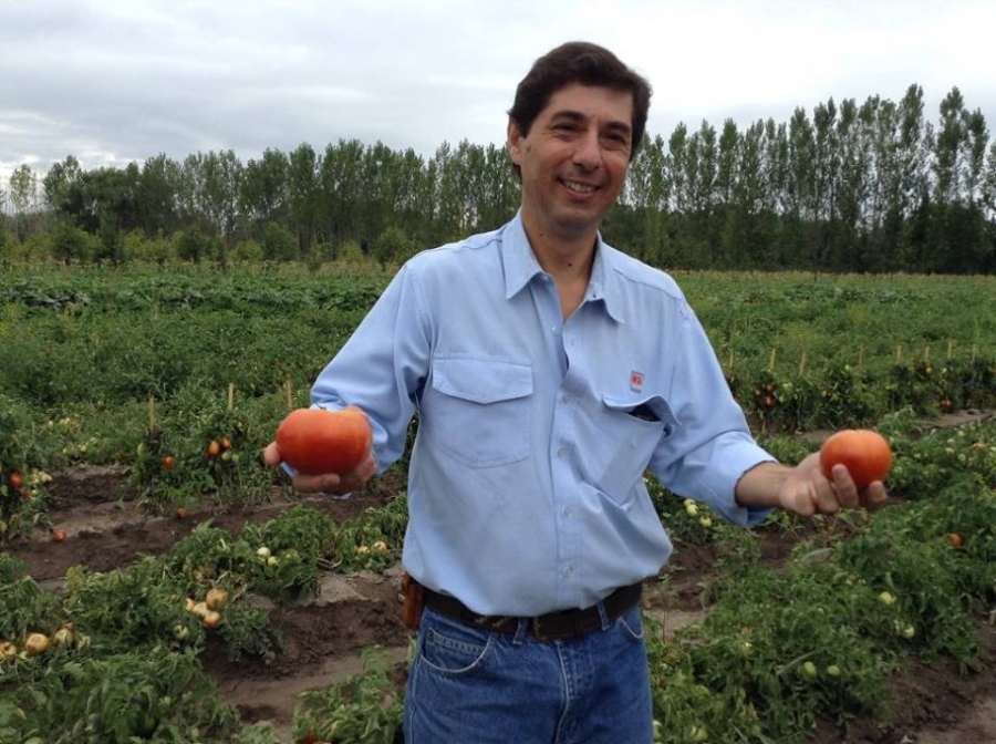 La Red INNOVAGRO promueve la innovación para contribuir en la generación de nuevos conocimientos que apoyen una producción y procesamiento de alimentos suficientes.