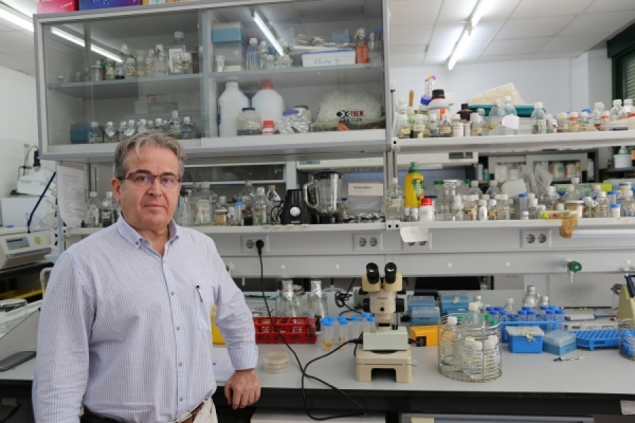 l investigador del grupo de Biotecnología y farmacognosia vegetal de la UCO, José Luis Caballero, en el laboratorio