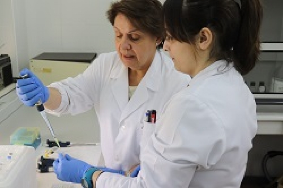 Investigadoras participantes en el estudio