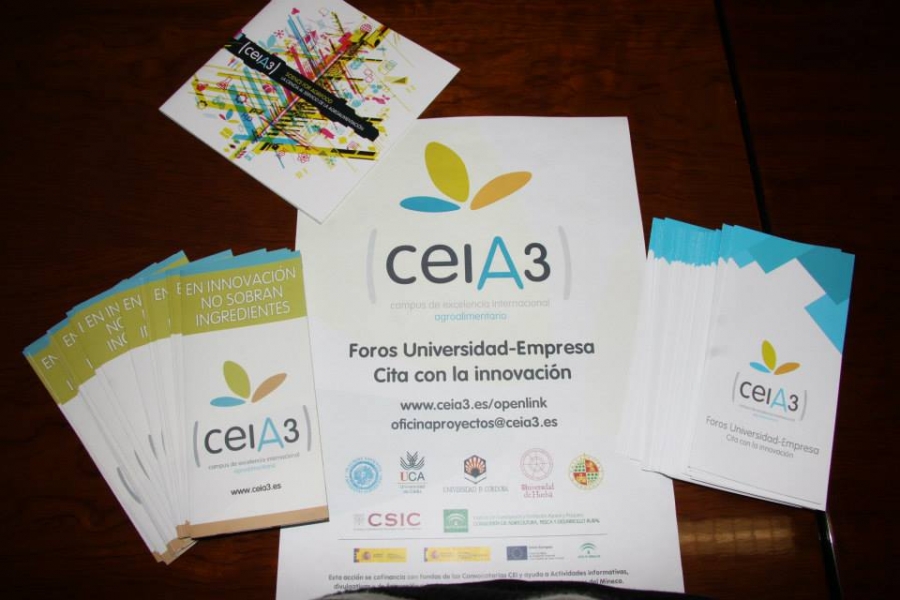 La oficina de proyectos internacionales del ceiA3 ofrece a investigadores y empresarios de Jaén un taller sobre financiación de proyectos