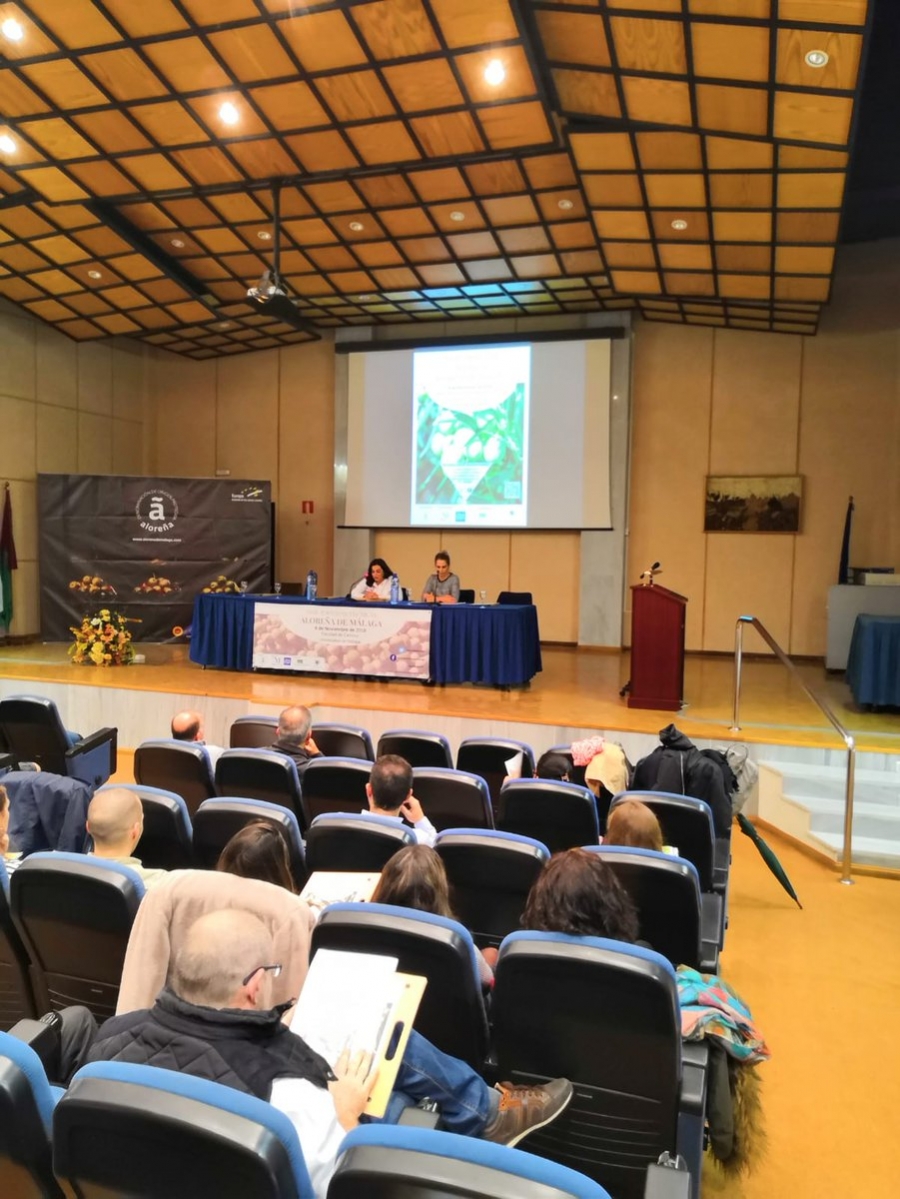 Presentados al sector los resultados del Programa Doctores en Empresa del ceiA3 de dos tesis doctorales de aceituna aloreña