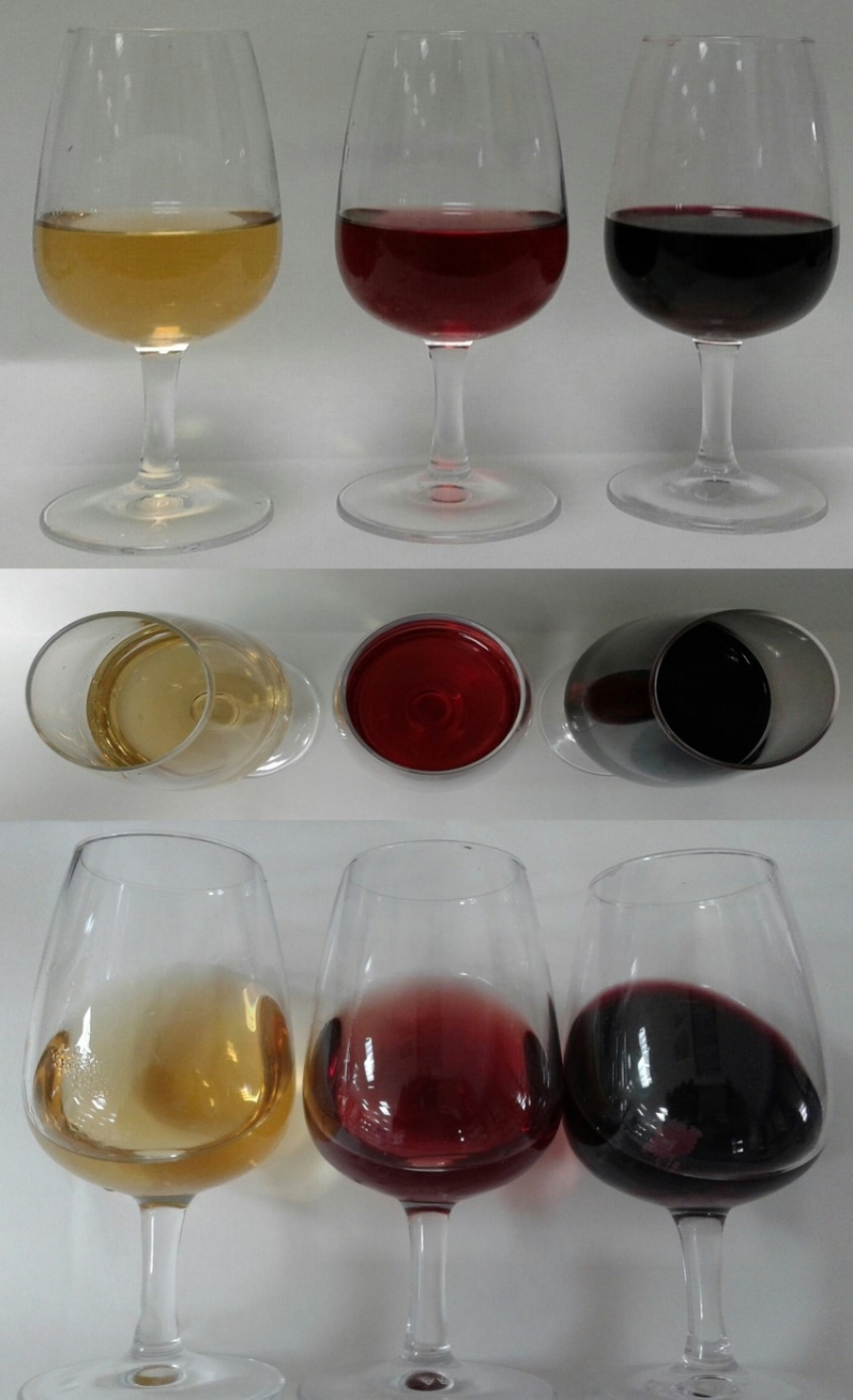 Vinos elaborados con equipamiento del Grado de Enología