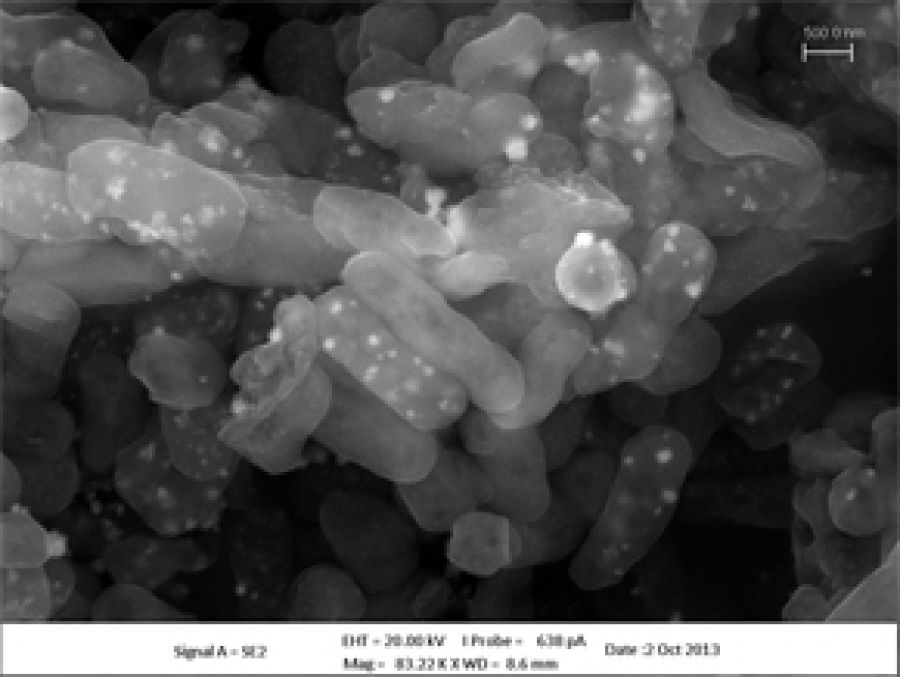 Investigadores del ceiA3 utilizan una bacteria para eliminar metales pesados de aguas residuales