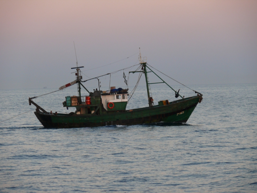 Barco pesquero