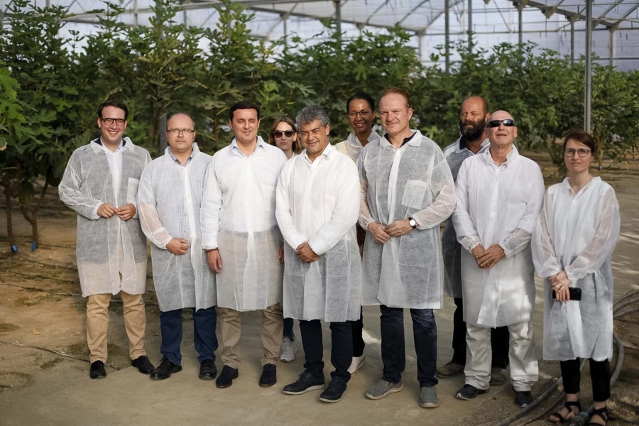 UAL y Diputación impulsan el primer cultivo sostenible de higueras bajo plástico