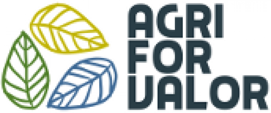 El proyecto europeo H2020 AgriForValor selecciona expertos en biomasa para participar en una misión en Hungría