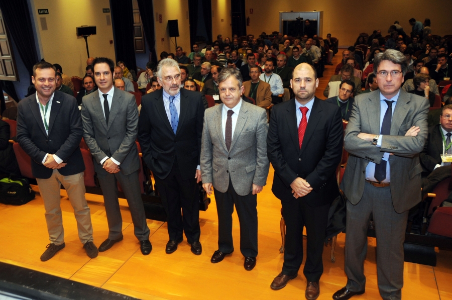 Expertos buscan prevenir la entrada de la bacteria Xylella fastidiosa en el olivar español