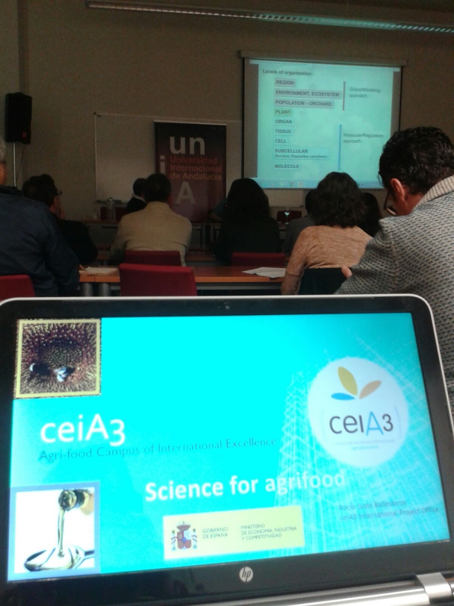 La Oficina de Proyectos Internacionales del ceiA3 participa en Jaén en un workshop sobre olivo y cambio climático