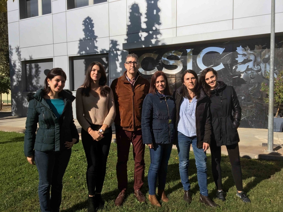 Investigadores del estudio