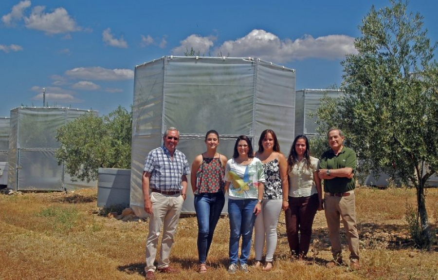  Investigadores responsables de este trabajo.