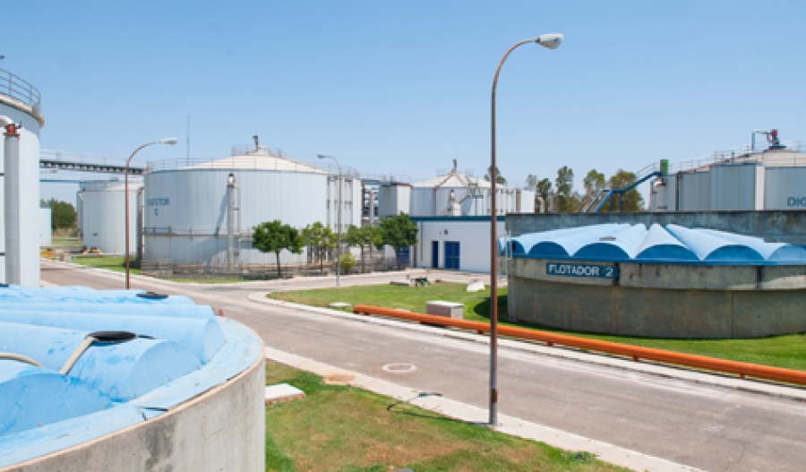 Investigadores de la UCA transforman los residuos de la aceituna de mesa en biogás