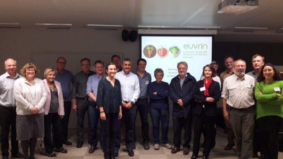 El ceiA3 invita a sus investigadores a participar en un encuentro europeo EUVRIN de fortalecimiento del sector hortofrutícola