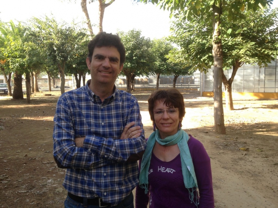 Investigadores del Centro Ifapa Alameda del Obispo, en Córdoba. 