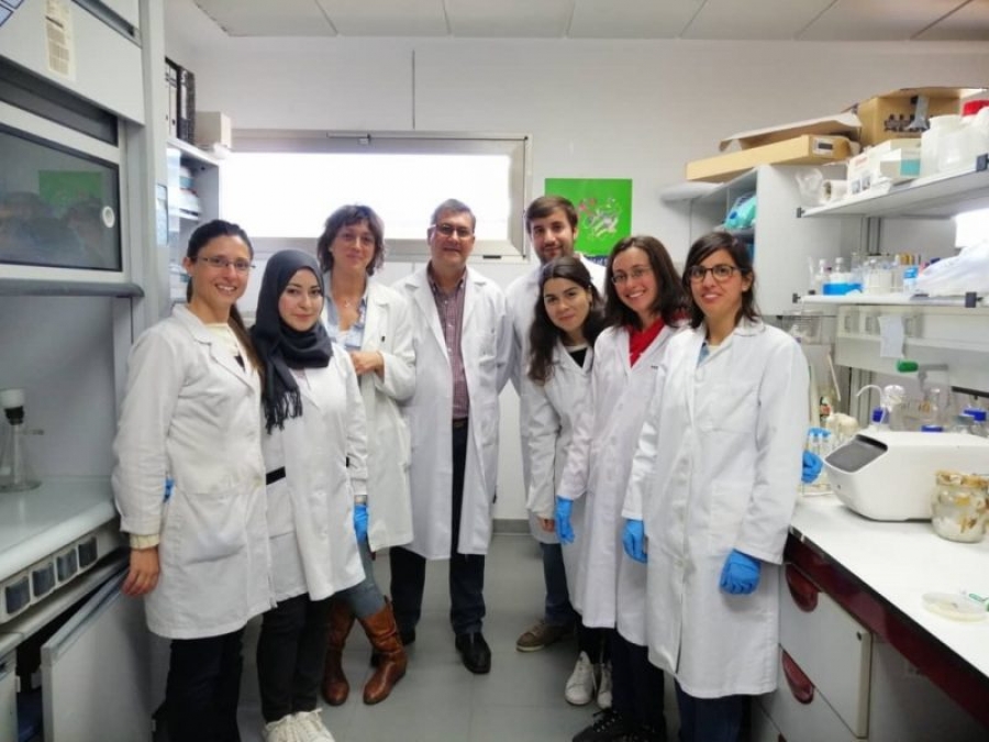 El equipo de investigación ‘Biotecnología de Algas’, responsable del estudio.