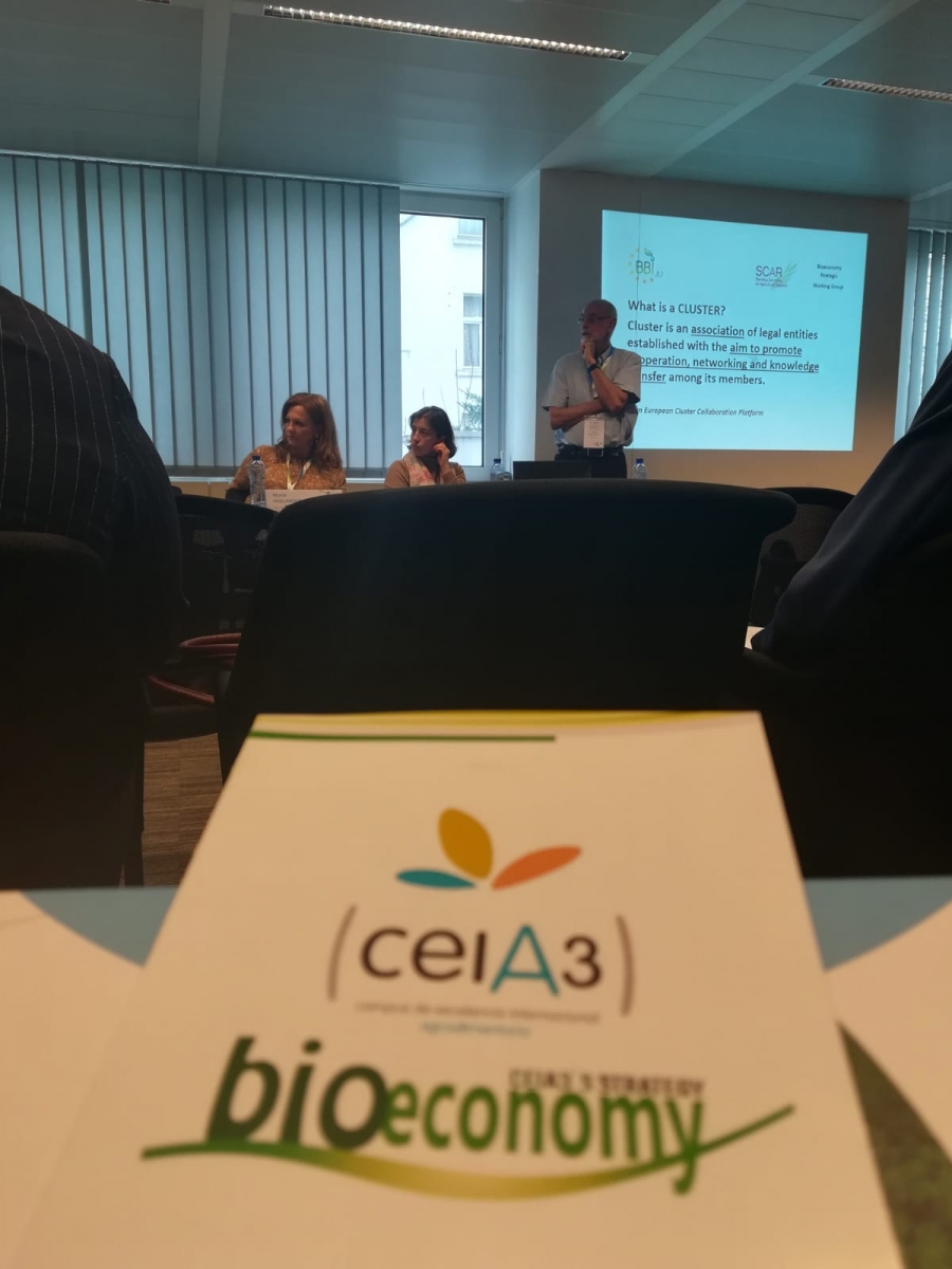 La Oficina de Proyectos Internacionales del ceiA3 presente en Bruselas para reforzar su presencia internacional