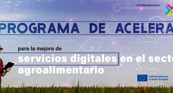 Programa aceleración DIH
